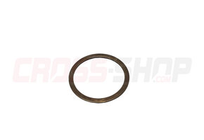 FANTIC - WASHER, PLATE (T=1.0)