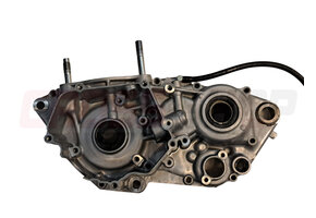 FANTIC - CRANKCASE 1