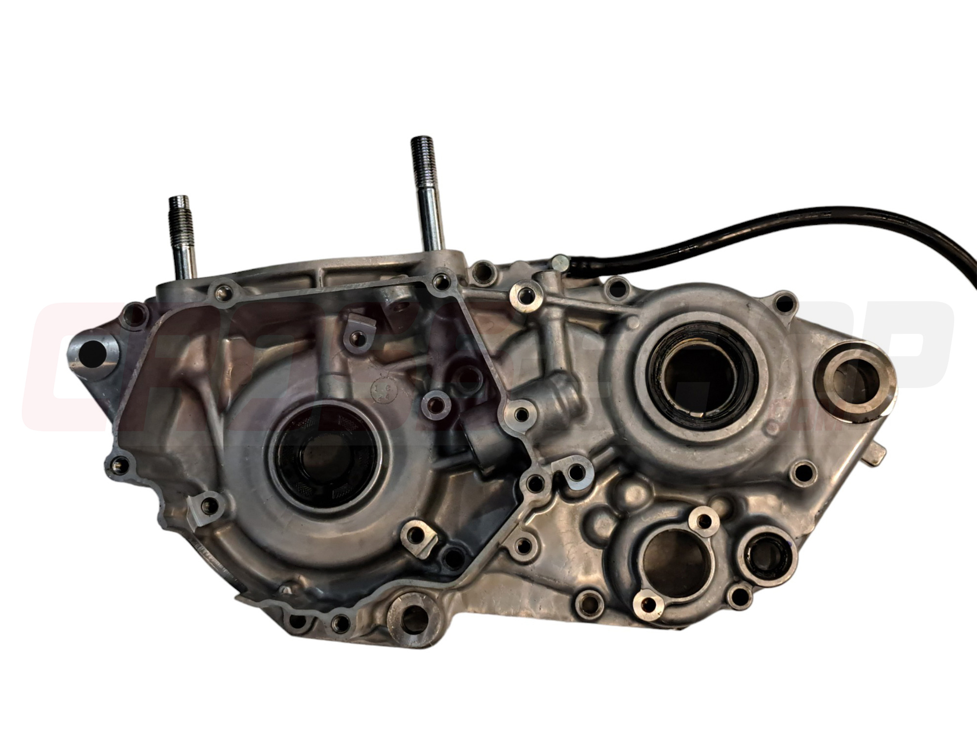 FANTIC - CRANKCASE 1