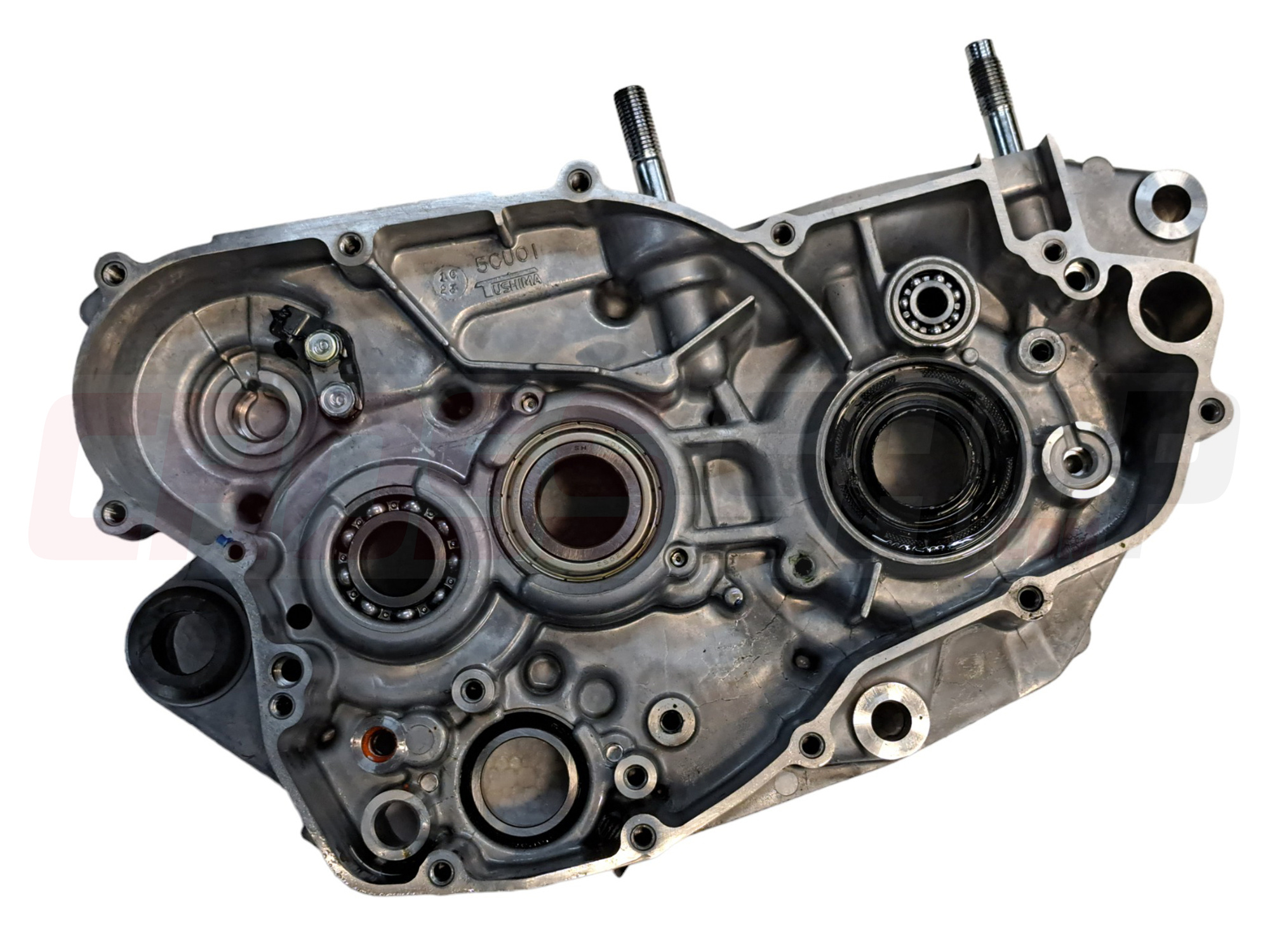 FANTIC - CRANKCASE 2