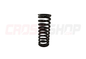 FANTIC - CLUTCH SPRING