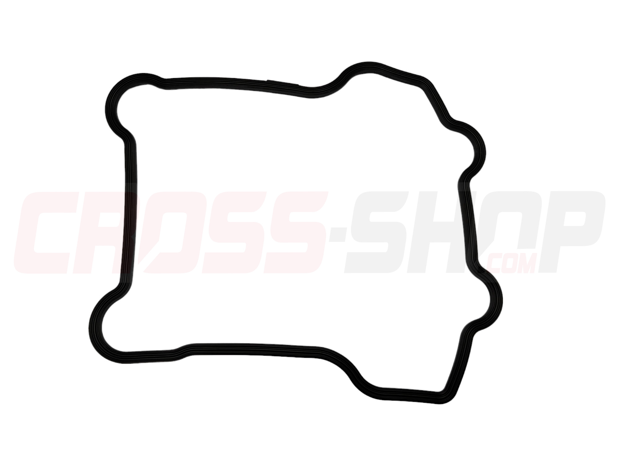 FANTIC - GASKET, HEAD COVER 1