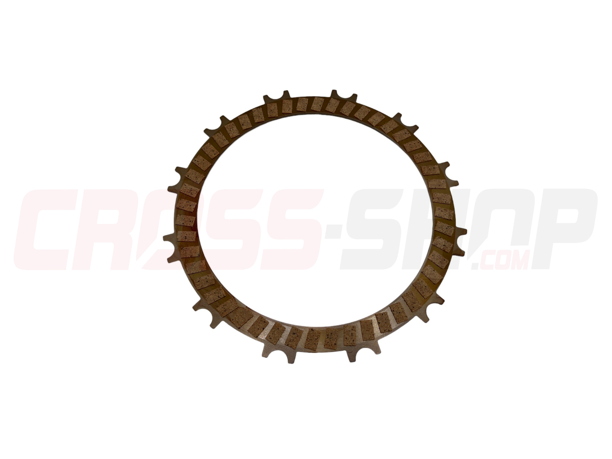 FANTIC - PLATE, FRICTION 1