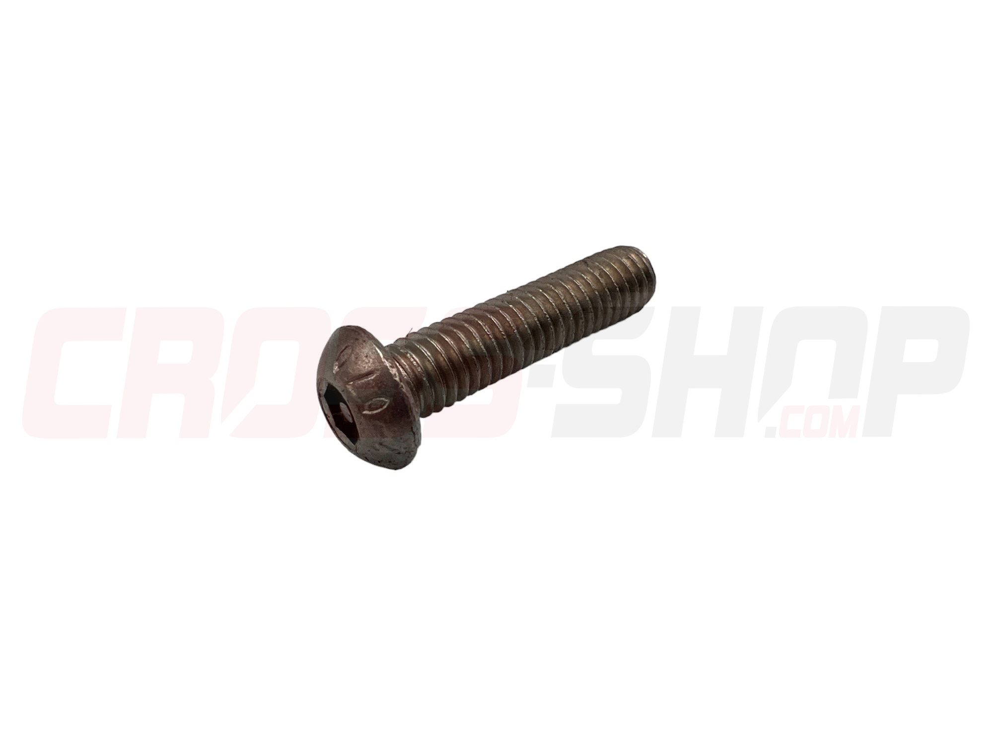 BETA - SECURITY SCREW