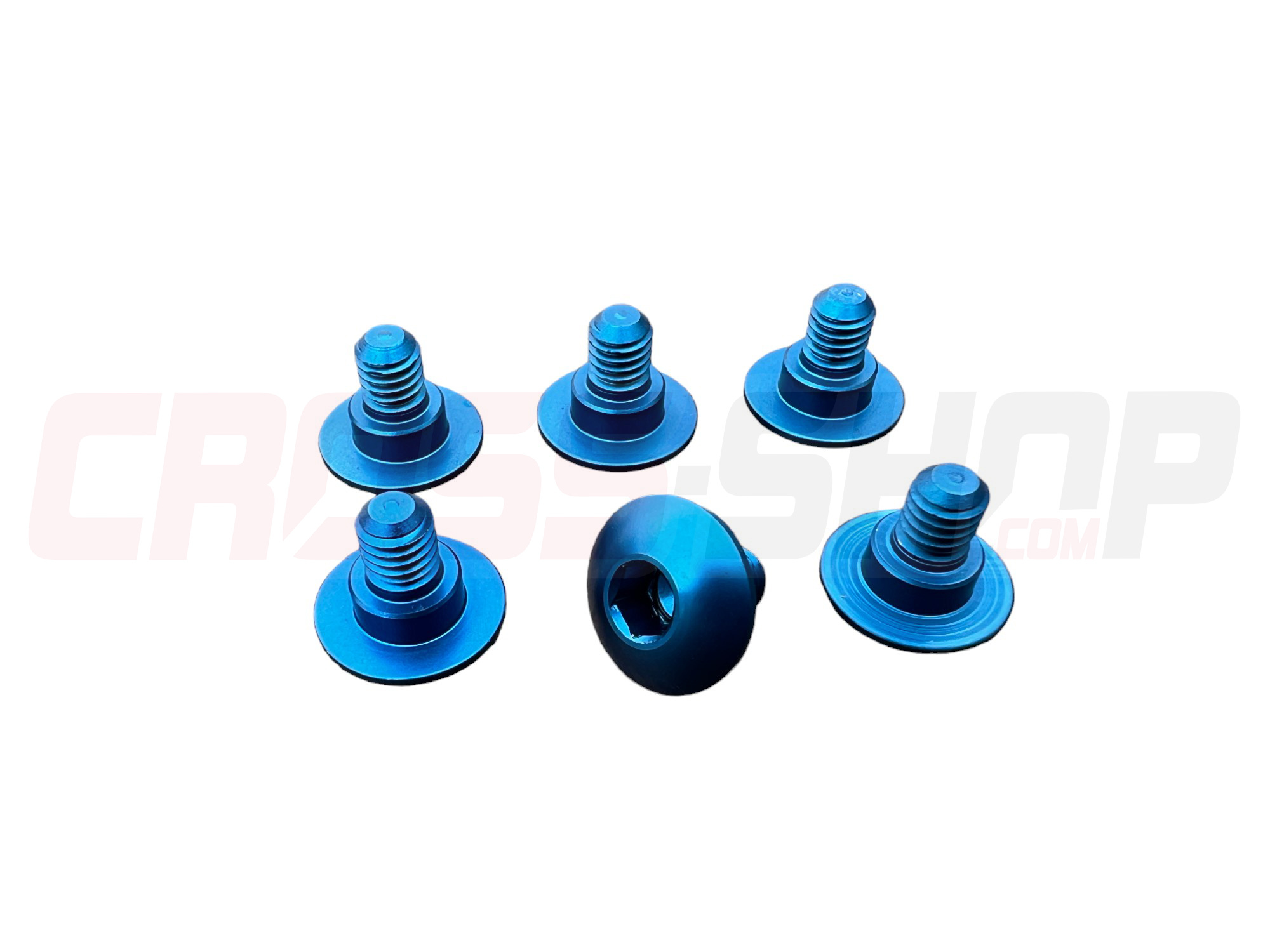 GECO - Fork guard screws TM/FANTIC 6PZ. M6 Blue