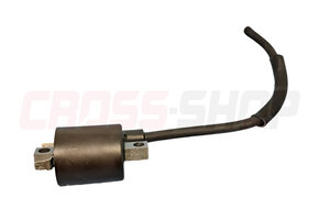 FANTIC - IGNITION COIL ASSY (REPLACED BY 08297005)