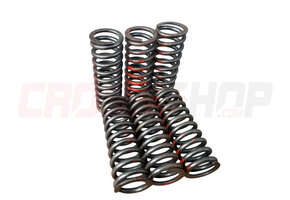 FANTIC - HIGH LOAD CLUTCH SPRINGS KIT