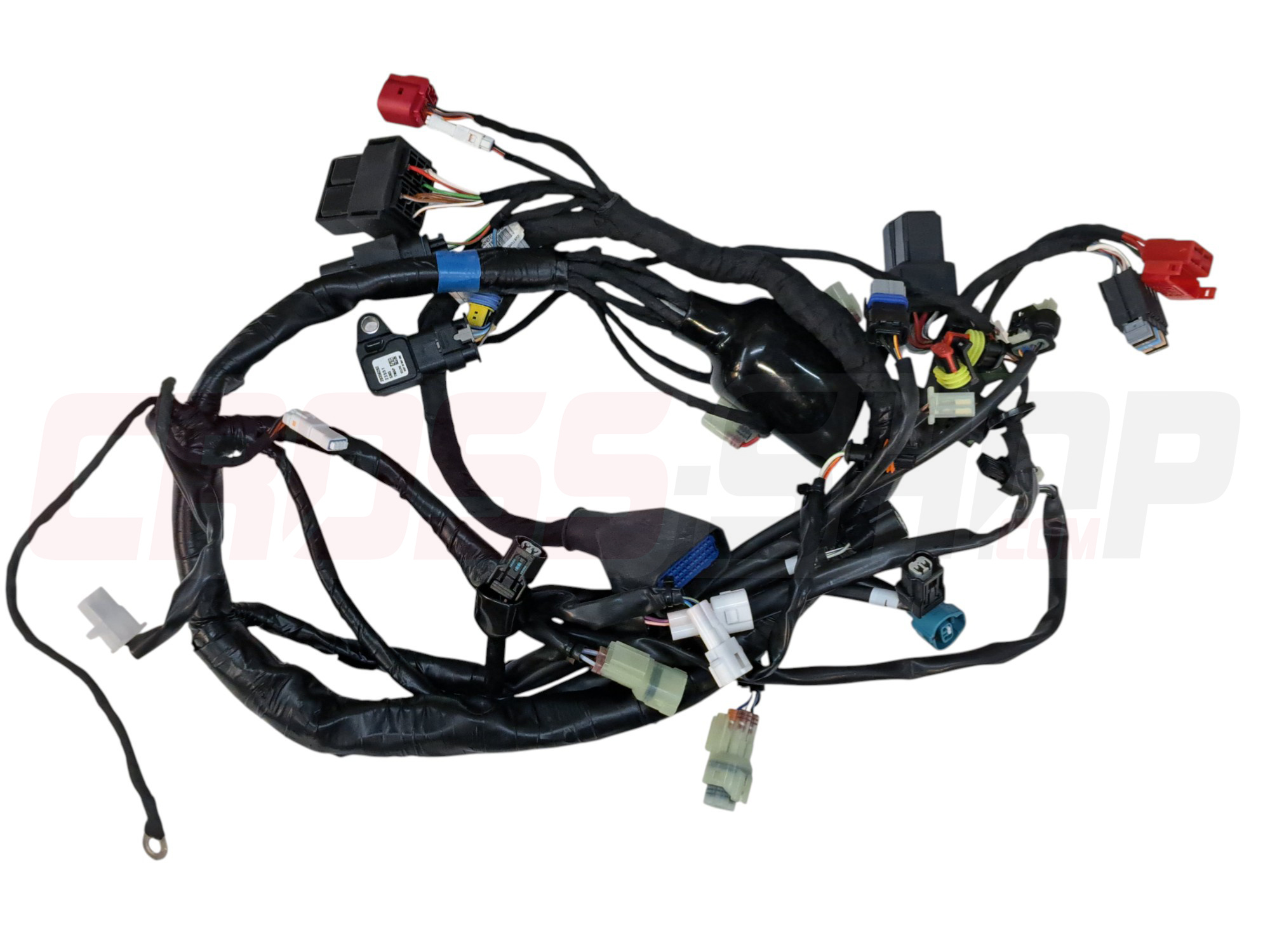 FANTIC - CABLAGGIO PRINCIPALE XE300 MY24