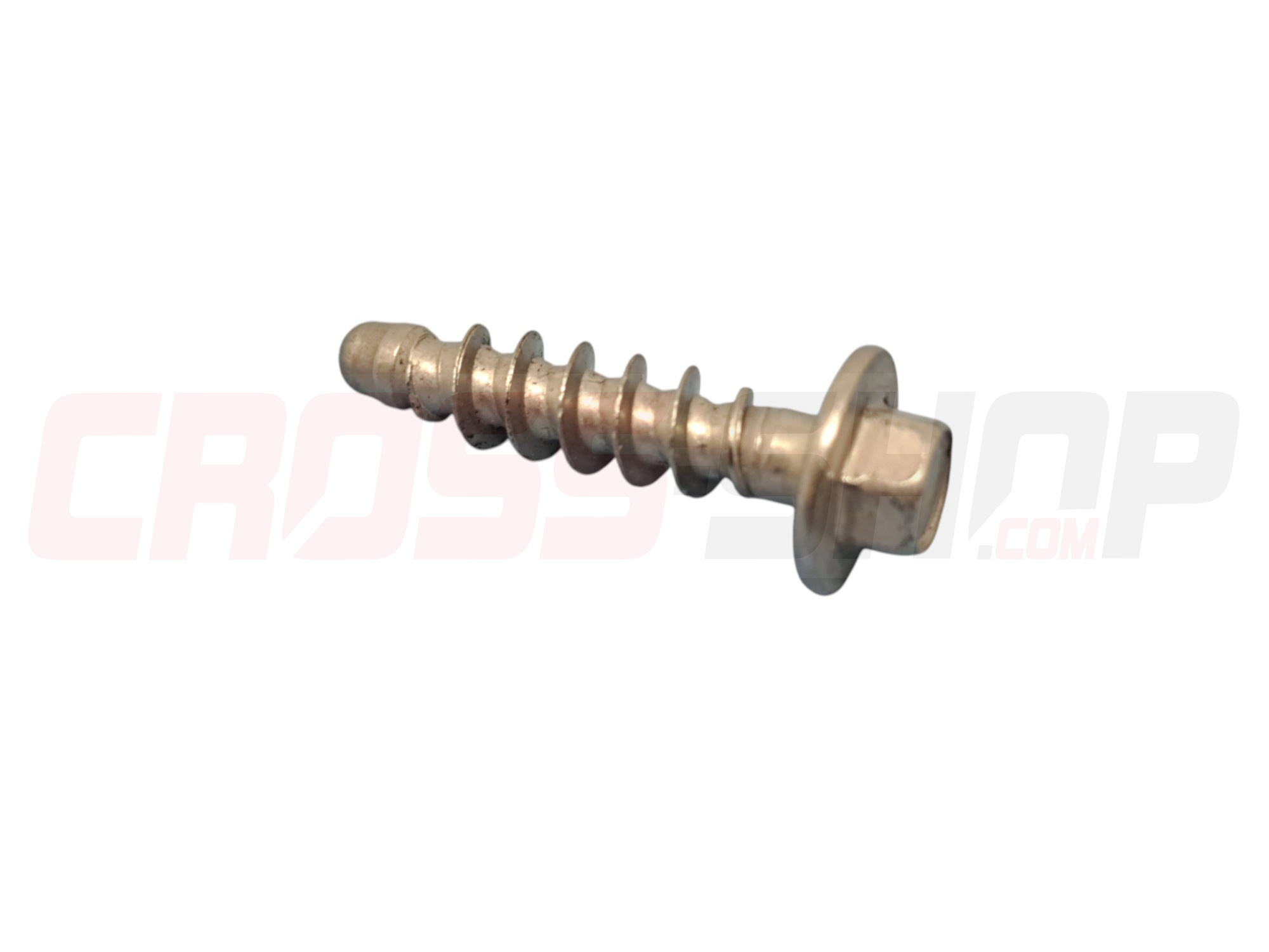 FANTIC - VITE PT 6X25