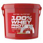 Scitec Nutrition 100% Whey Protein Professional (Vanilla - 5000 gram)
