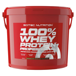 Scitec Nutrition 100% Whey Protein Professional (Chocolate/Hazelnut - 5000 gram)