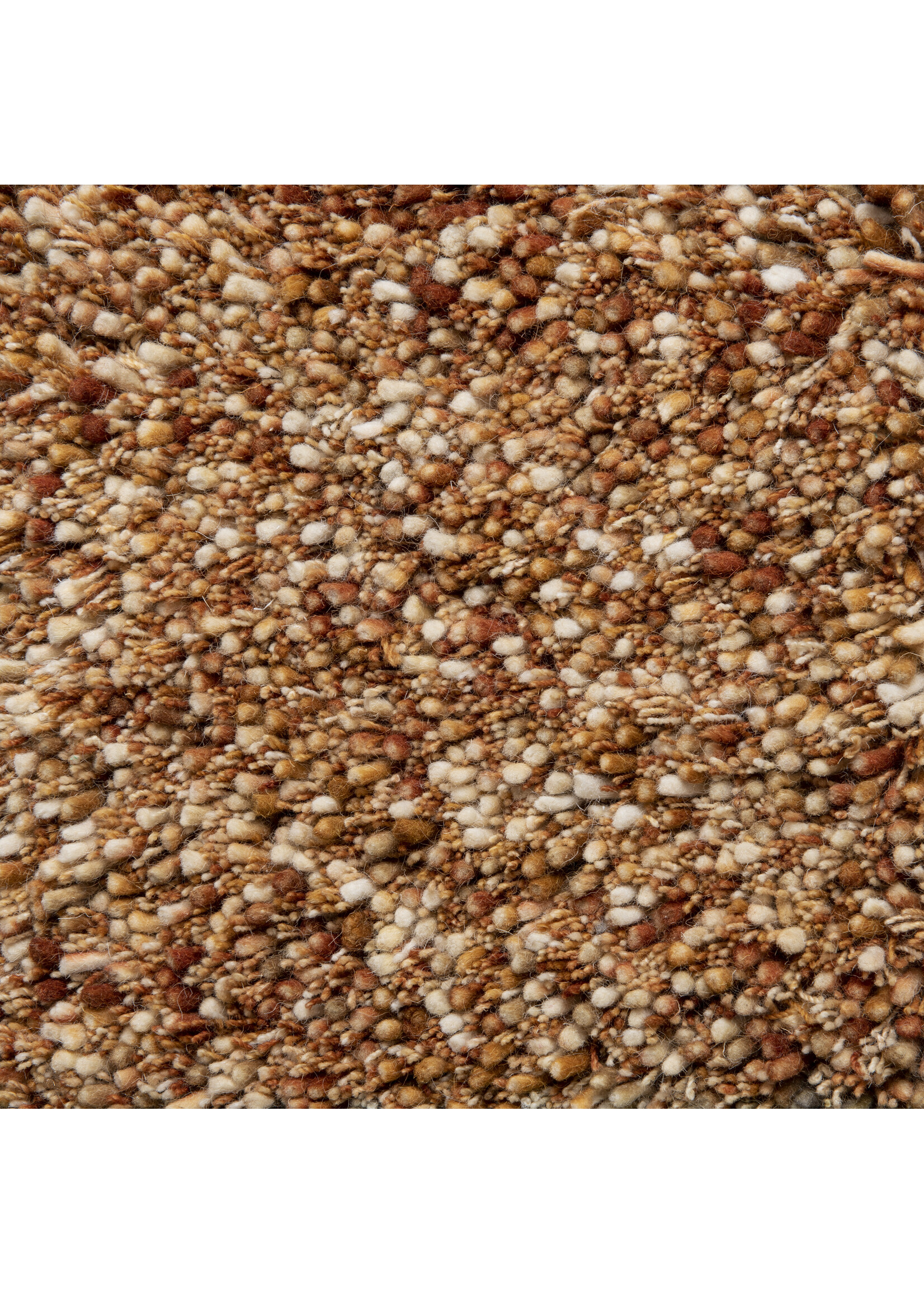 Brinker -  Salsa Copper Gold 502 170x230