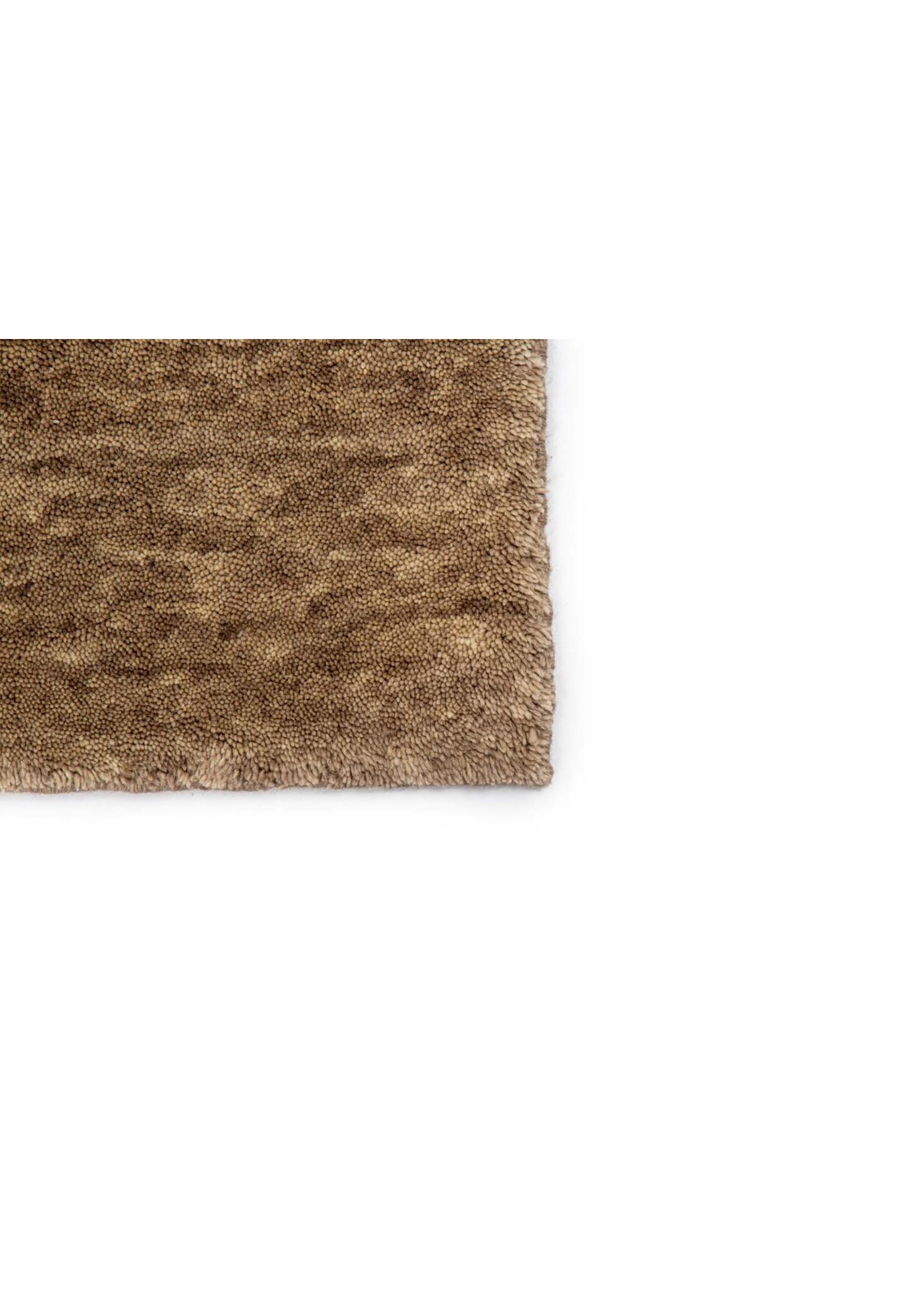 Brinker -  San Stefano Camel 09 170x230