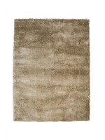 Brinker -  Viterbo ST Silver 119 170x230