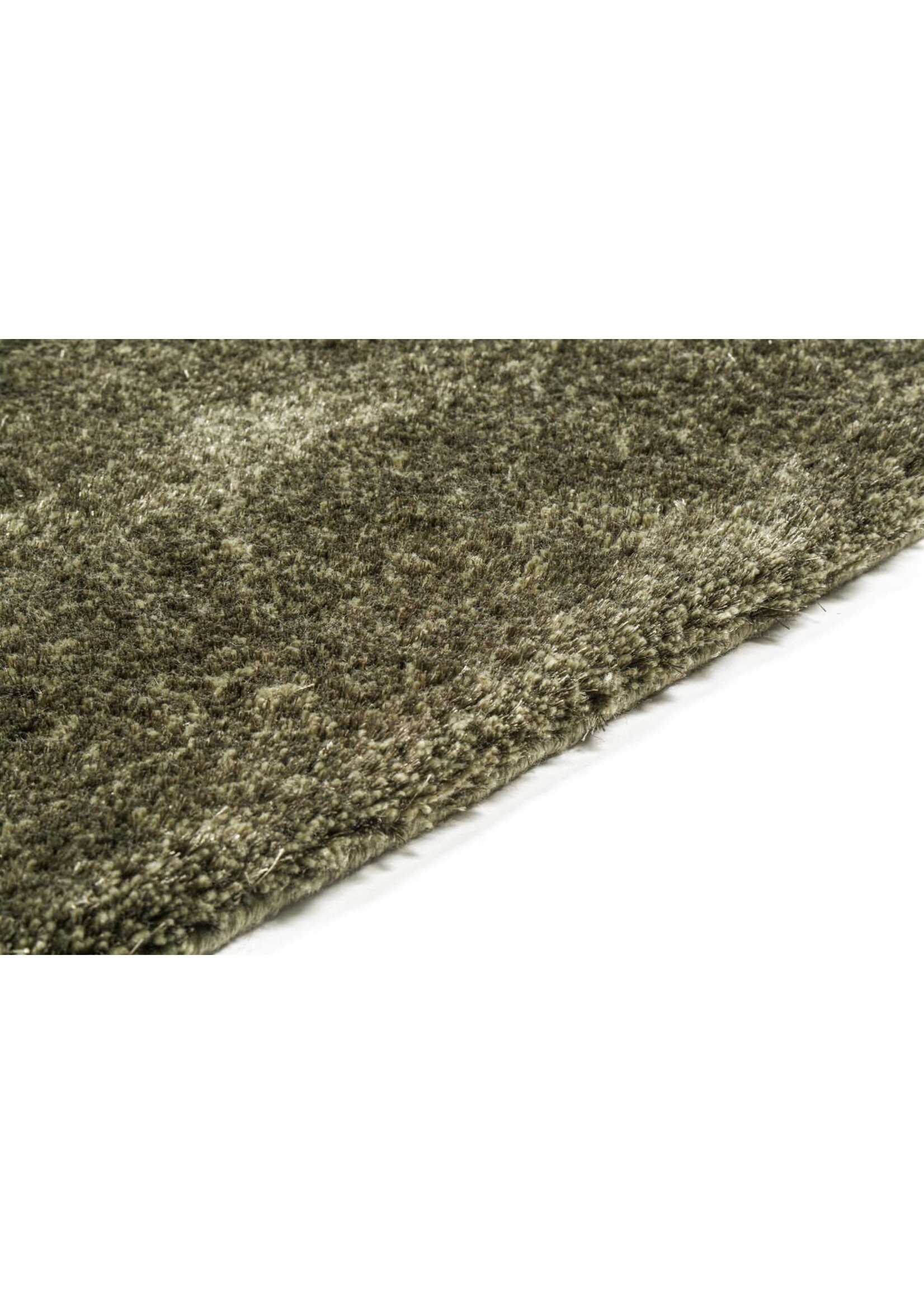 Brinker -  Viterbo ST Hunter 421 170x230