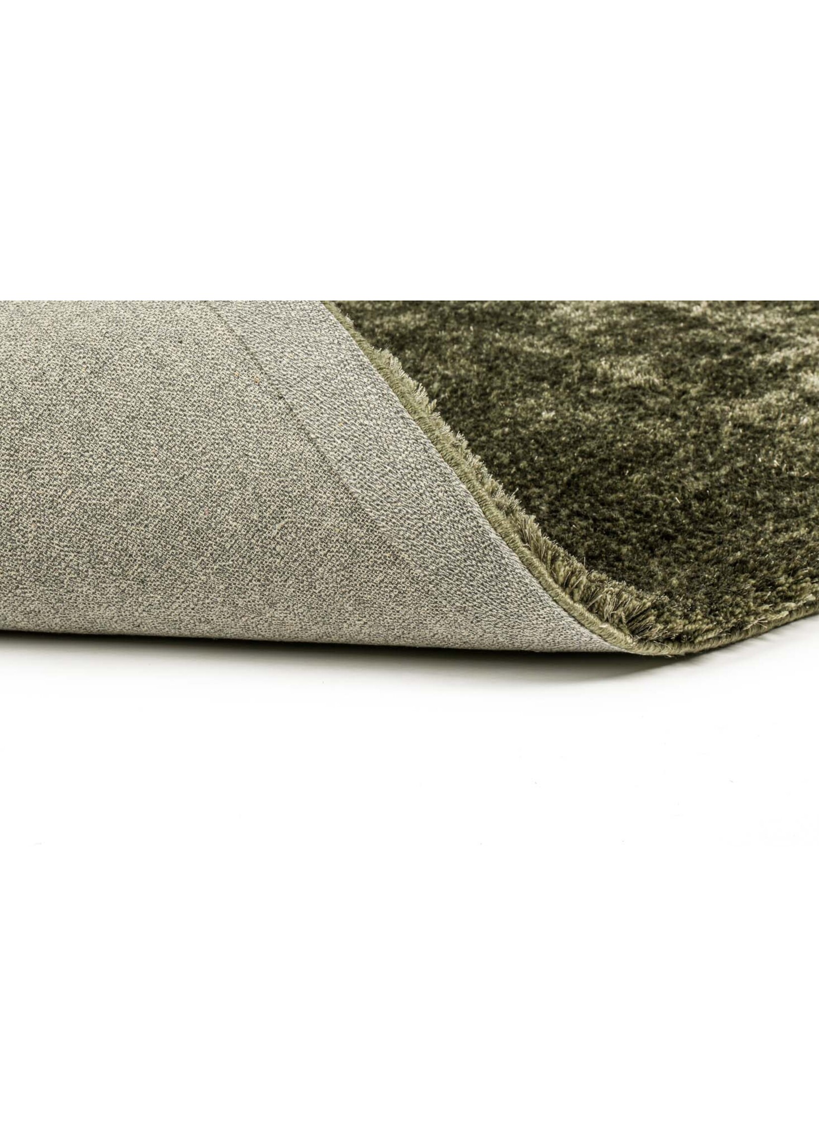 Brinker -  Viterbo ST Hunter 421 170x230