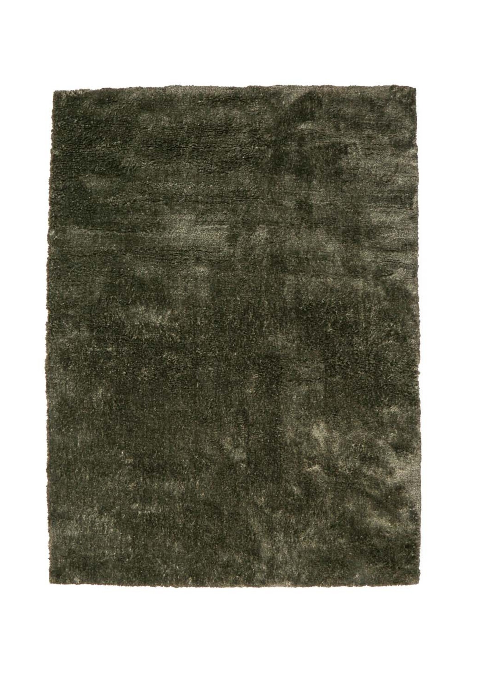 Brinker -  Viterbo ST Hunter 421 170x230