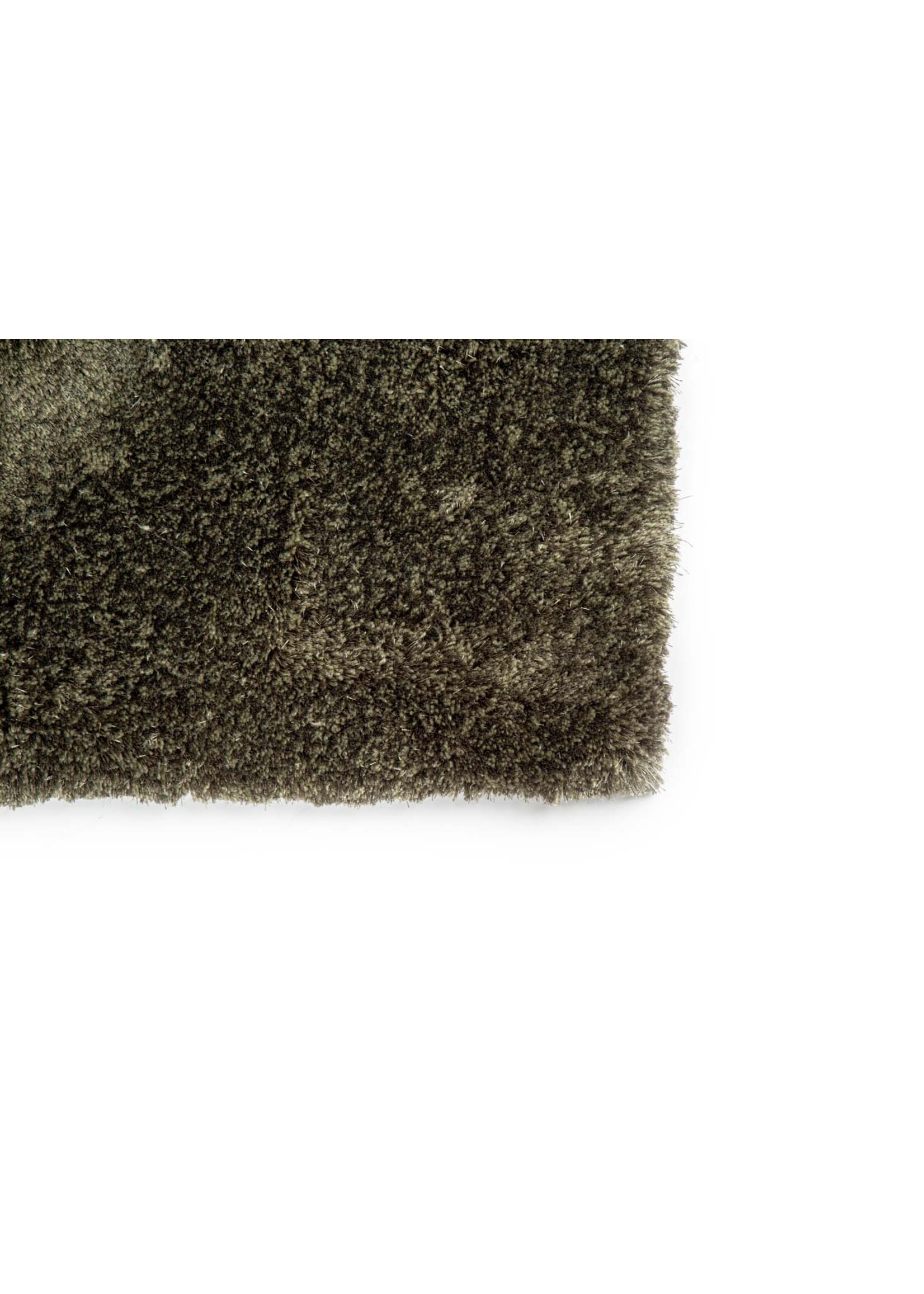 Brinker -  Viterbo ST Hunter 421 170x230