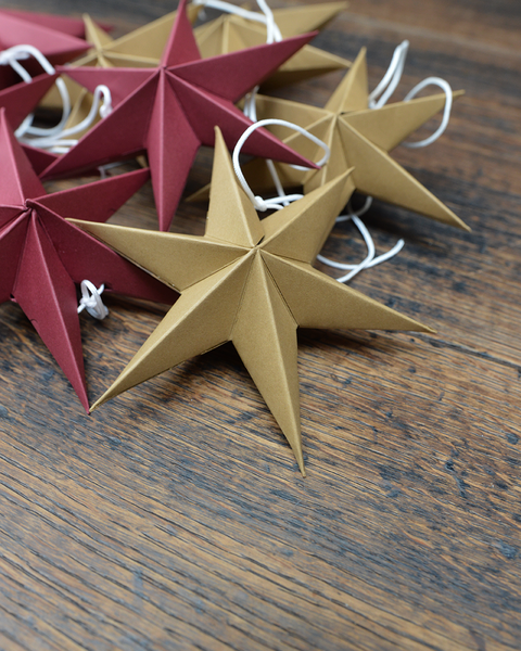 10x2 CAMEL MINI PAPER STARS