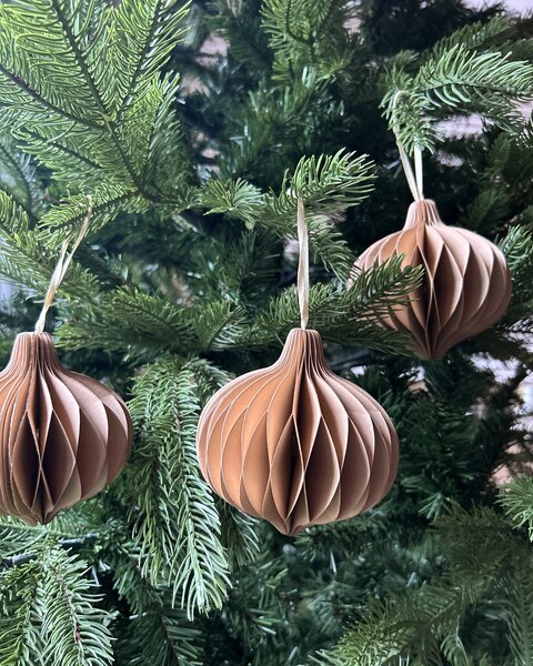 10X PAPER ONION CARAMEL