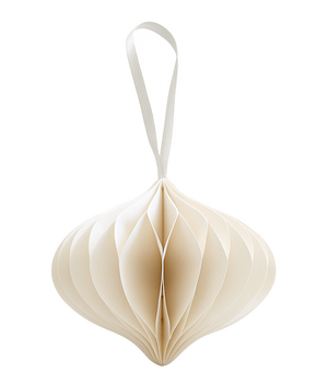 10x PAPER ONION WHITE