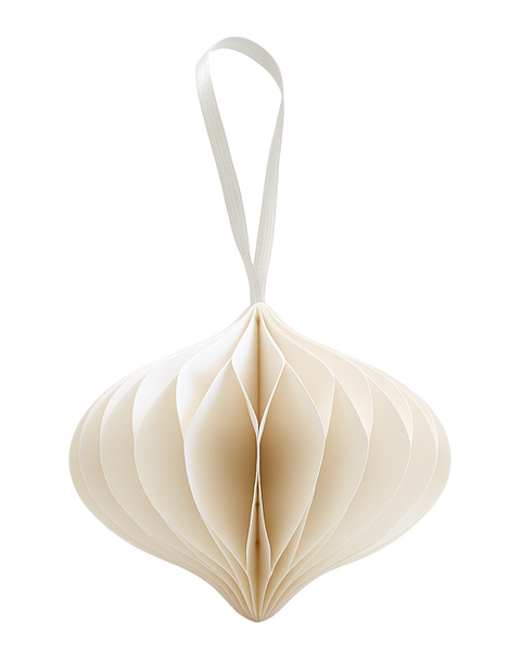 10x PAPER ONION WHITE