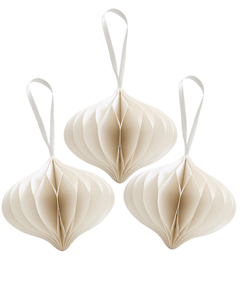 10x OIGNONS DE PAPIER BLANC