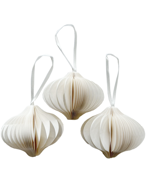 10x PAPIERZWIEBEL WEISS