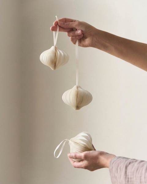 10x PAPER ONION WHITE