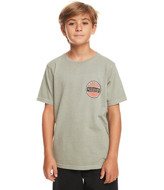 Quiksilver Sea Brigade Tees For Kids