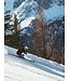 Völkl Racetiger SL+Rmotion3 12 GW Set (Ski Inkl. 6877W1.Vr)