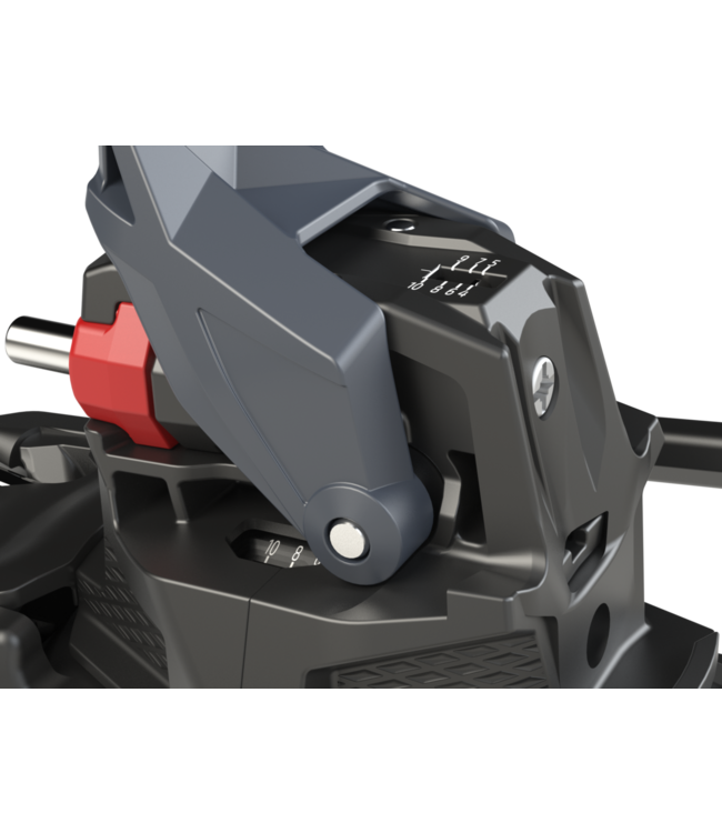 Fritschi Xenic Binding