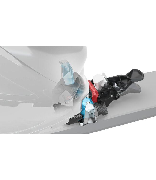 Fritschi Xenic Binding