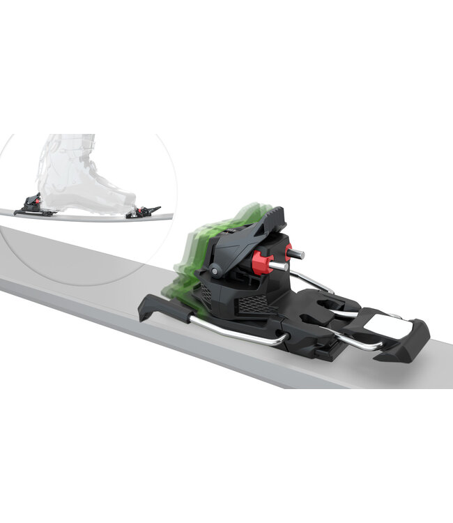 Fritschi Xenic Binding