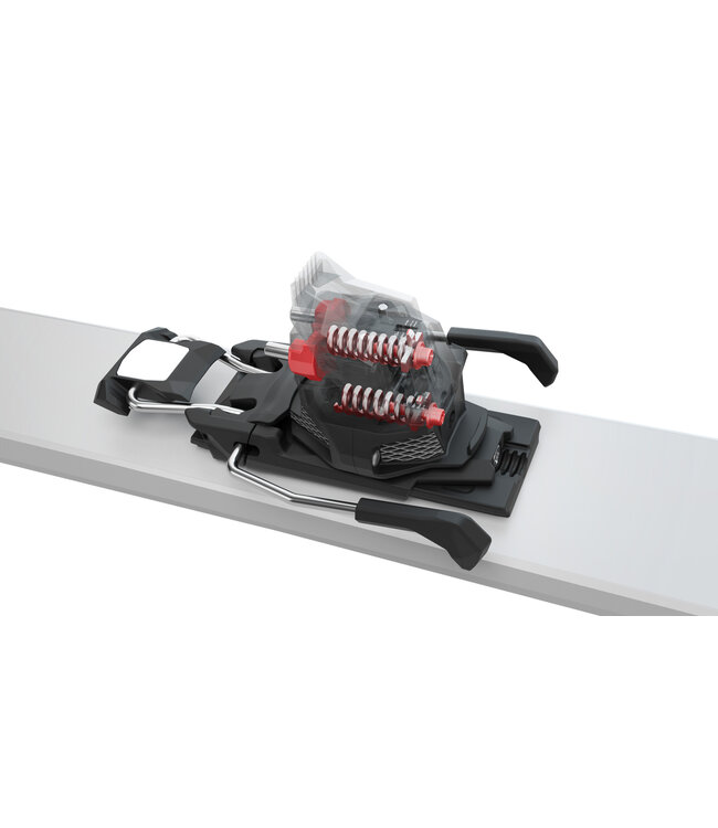 Fritschi Xenic Binding