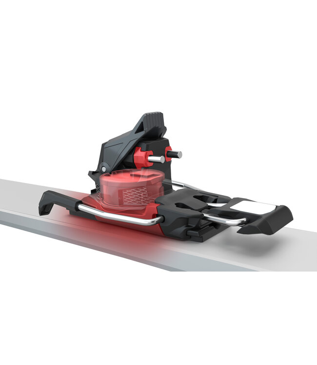 Fritschi Xenic Binding