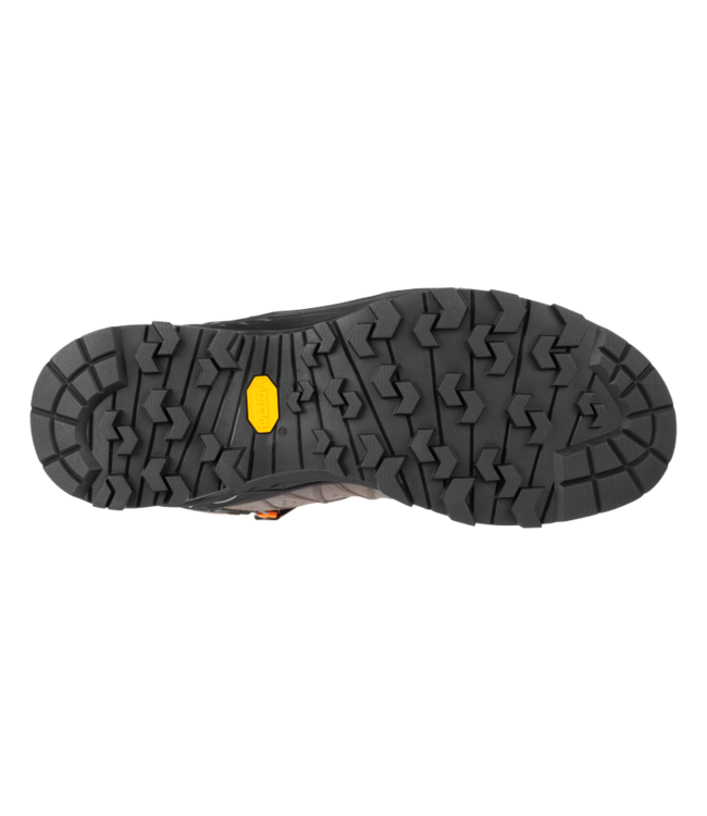 Salewa Alp Trainer 2 Mid Gore-Tex® Shoe For Men