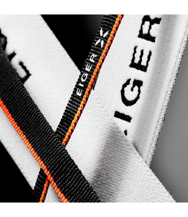 Mammut Eisfeld Guide SO Pant For Men