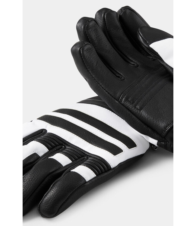 Bogner Alex R-TEX® XT Ski Gloves For Men