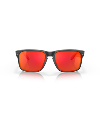 Oakley Holbrook Sunglasses