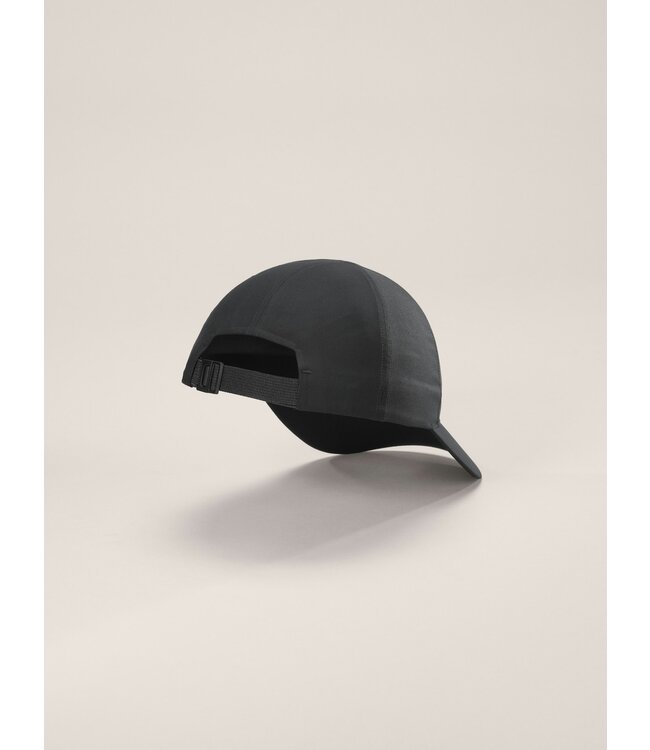 Arc'teryx Bird Word Cap