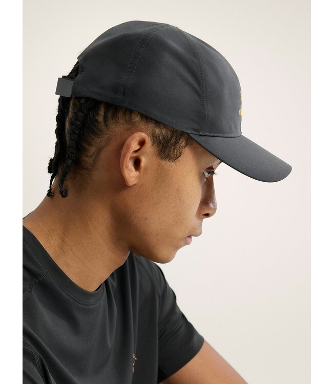 Arc'teryx Bird Word Cap