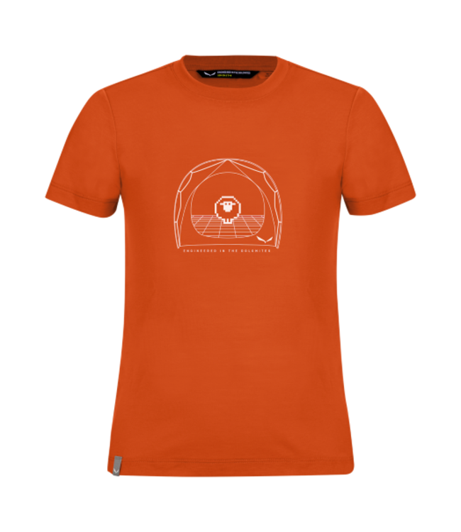 Salewa Graphic Dry Short Sleeve T-Shirt For Kids