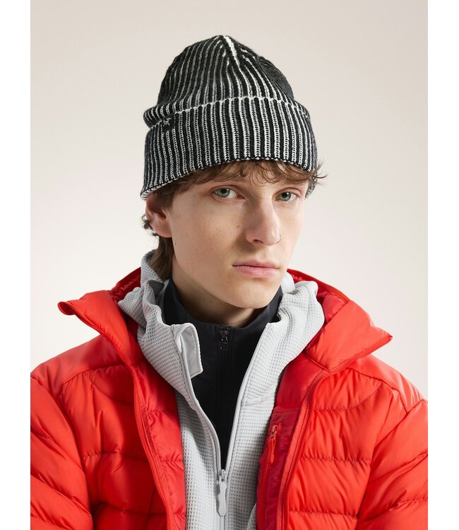 Arc'teryx Ribbed Toque