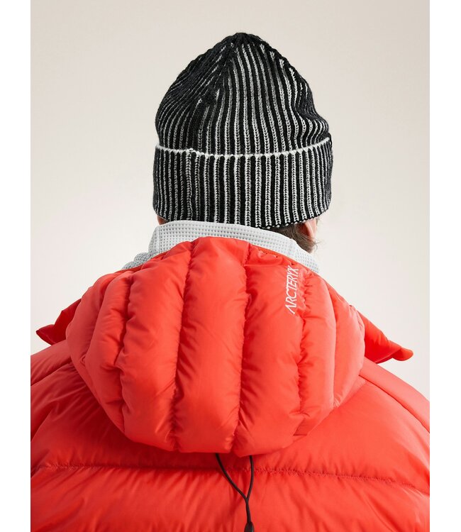Arc'teryx Ribbed Toque