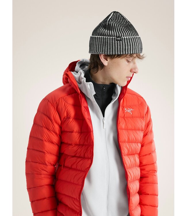Arc'teryx Ribbed Toque