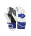 Reusch Worldcup Warrior GS Ski Gloves