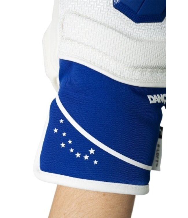 Reusch Worldcup Warrior GS Ski Gloves