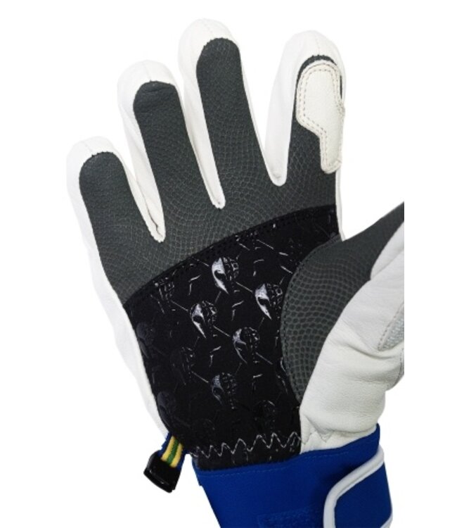Reusch Worldcup Warrior GS Ski Gloves
