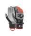Reusch Worldcup Warrior Team Ski Gloves